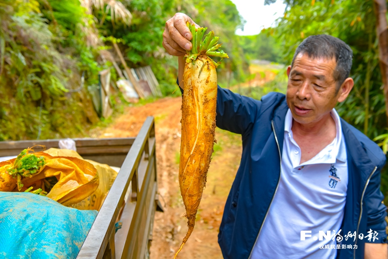 福州農(nóng)村打綠色農(nóng)業(yè)牌、走生態(tài)致富路 村民生活大不同 福州農(nóng)村打綠色農(nóng)業(yè)牌、走生態(tài)致富路 村民生活大不同