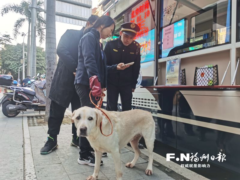 晉安區(qū)加大養(yǎng)犬登記工作 登記數(shù)量居全市前列 晉安區(qū)加大養(yǎng)犬登記工作 登記數(shù)量居全市前列