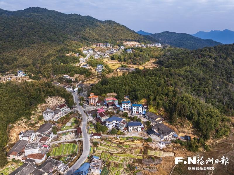 晉安:轉出生機 小村撂荒地披綠生金 晉安:轉出生機 小村撂荒地披綠生金