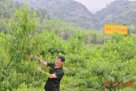 榮獲“全國文明村”“省級鄉村振興示范村”等榮譽  晉安點洋村：文明新風吹　共富闖新路