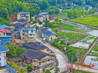 榮獲“全國文明村”“省級鄉村振興示范村”等榮譽  晉安點洋村：文明新風吹　共富闖新路