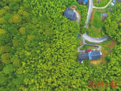 奮發進取三十年 同心共筑新未來 日溪畬鄉繪新景 綠水青山帶笑顏 奮發進取三十年 同心共筑新未來 日溪畬鄉繪新景 綠水青山帶笑顏