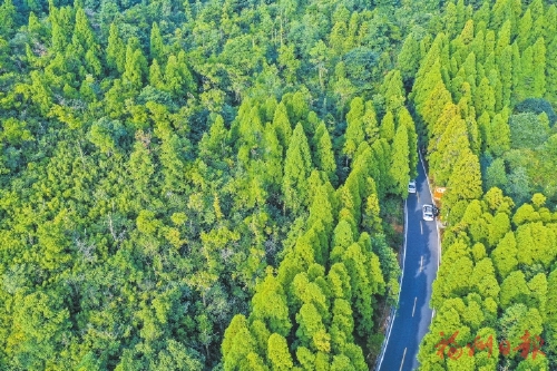 全景公路風(fēng)景美　小康路上面貌新