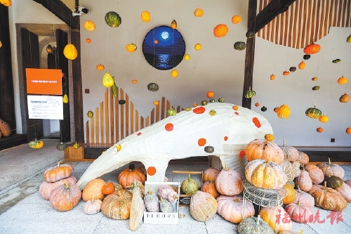 新店古城舉辦閩越豐收節南瓜展  持續至9月20日