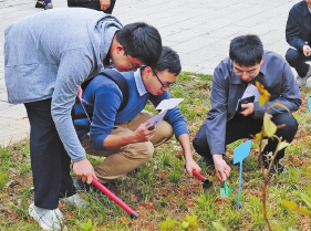 晉安區舉辦　“才聚九峰　愛在壽山”人才植樹節活動