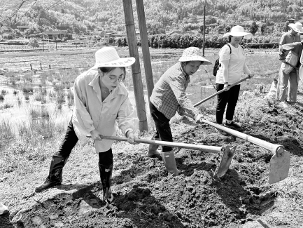 住農家　干農活　話農事 晉安青年干部深入山區進行“四知”基層實踐教育
