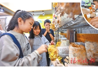 來新店古城遺址公園，開啟探秘之旅  蘑菇科普課　揭秘“小傘傘”