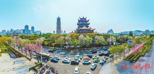 花開花落春有時 好一幅福州春光圖