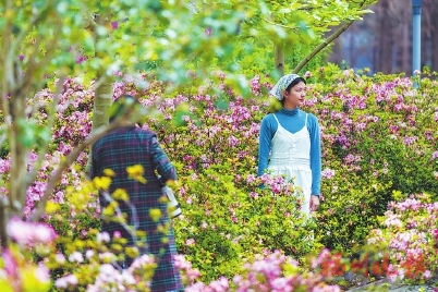 花開花落春有時 好一幅福州春光圖