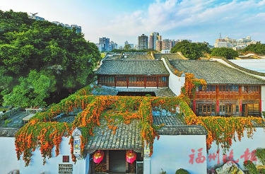 花開花落春有時 好一幅福州春光圖