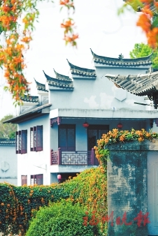 花開花落春有時 好一幅福州春光圖