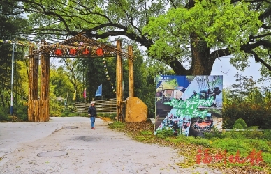 晉安壽山鄉打造現實版“歸田園居”  葉洋村：繪就“山水畫”　書寫“振興篇”