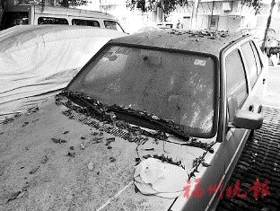 晉安全面清理整治“僵尸車”