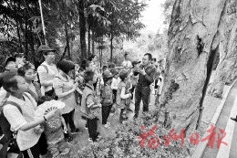 本報(bào)小記者團(tuán)　走進(jìn)福州國家森林公園