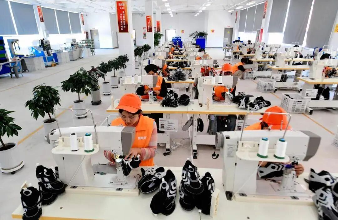 29年,跨越千里的閩寧“山海情” 29年,跨越千里的閩寧“山海情”