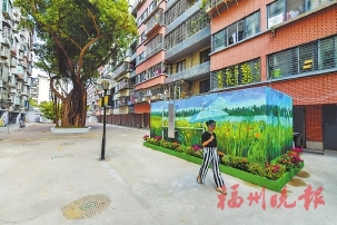 每戶僅出資200元，新時代文明實踐站等多方助力  小投入大提升！老舊8號小院“變身” 