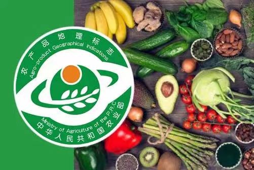 福州晉安宦溪鎮“鵝鼻蘿卜”品牌價值高達3.46億元