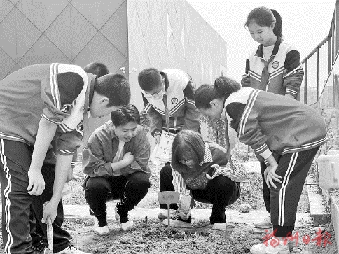 不負“雙減”好時光  福州各中小學妙招頻出，開辟育人新天地