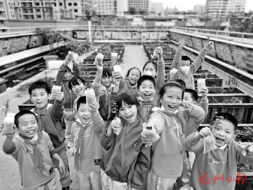 不負“雙減”好時光  福州各中小學妙招頻出，開辟育人新天地
