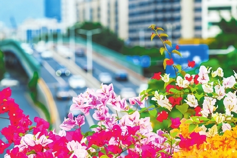 全省首個無障礙主題公園即將亮相  代表視線　厚植生態(tài)底色，扮靚多彩福州，人大代表聚焦“千園之城”建設(shè)