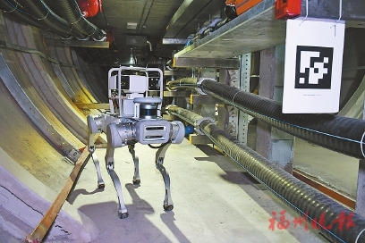 數字應用在福州　無人機、機器人、“機器狗”在供電保障中扮演重要角色 上天入地查隱患　電網運維更智能