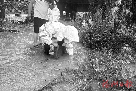 以迅應(yīng)汛　主動出擊  ——排水尖兵守護榕城安全