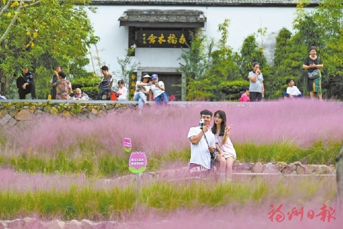 入園賞花、圍爐煮茶、泡溫泉、戶外徒步……  福州秋冬季旅游玩法“上線”