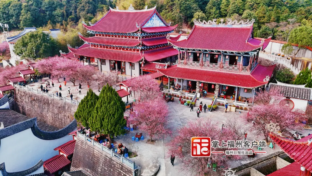 來晉安，過福年！晉安召開新聞發布會！