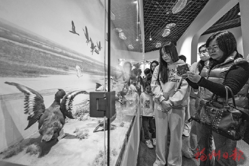 福馬融合共護濕地“管法的法”作出新規(guī)  我市兩部地方性法規(guī)獲省人大常委會會議批準(zhǔn)