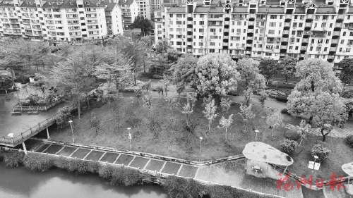 我市推進內河沿岸顏值提升  三處河道公園新增百棵開花樹木