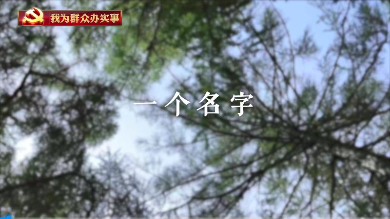 《我是黨員，我在》