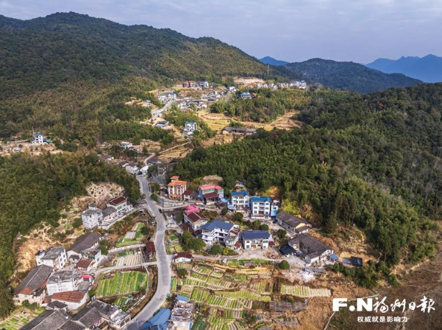 晉安:轉出生機 小村撂荒地披綠生金