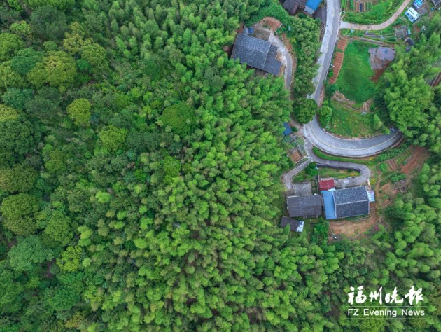 榮獲“全國文明村”“省級鄉村振興示范村”等榮譽  晉安點洋村：文明新風吹　共富闖新路