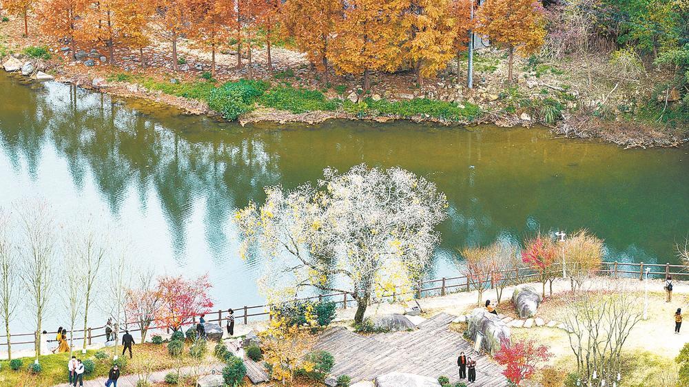 晉安九峰村：冬韻如畫